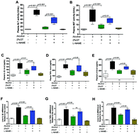 Graphical abstract: Green tea infusion protects against alcoholic liver injury by attenuating inflammation and regulating the PI3K/Akt/eNOS pathway in C57BL/6 mice