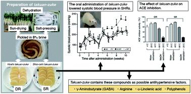 Graphical abstract: The salted radish takuan-zuke shows antihypertension effects in spontaneously hypertensive rats