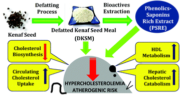 Graphical abstract: Dietary supplementation of defatted kenaf (Hibiscus cannabinus L.) seed meal and its phenolics–saponins rich extract effectively attenuates diet-induced hypercholesterolemia in rats