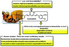 Graphical abstract: Curcumin as a functional food-derived factor: degradation products, metabolites, bioactivity, and future perspectives