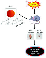 Graphical abstract: Oral administration of lyophilized Dunaliella salina, a carotenoid-rich marine alga, reduces tumor progression in mammary cancer induced rats