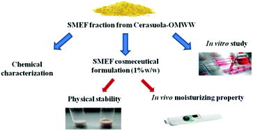 Graphical abstract: Sugar and mineral enriched fraction from olive mill wastewater for promising cosmeceutical application: characterization, in vitro and in vivo studies