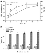 Graphical abstract: Chicken breast muscle hydrolysates ameliorate acute alcohol-induced liver injury in mice through alcohol dehydrogenase (ADH) activation and oxidative stress reduction