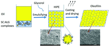 Graphical abstract: High internal phase emulsion (HIPE)-templated biopolymeric oleofilms containing an ultra-high concentration of edible liquid oil