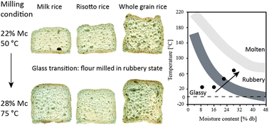 Graphical abstract: Tailoring rice flour structure by rubbery milling for improved gluten-free baked goods