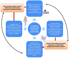 Graphical abstract: Complementary effects of cereal and pulse polyphenols and dietary fiber on chronic inflammation and gut health
