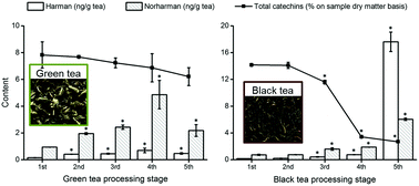 Graphical abstract: Inhibitory effects of catechins on β-carbolines in tea leaves and chemical model systems