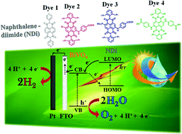 Graphical abstract: Core-substituted naphthalenediimides anchored on BiVO4 for visible light-driven water splitting