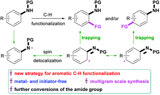 Graphical abstract: Amide-assisted radical strategy: metal-free direct fluorination of arenes in aqueous media