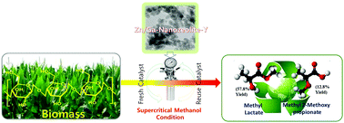 Graphical abstract: Direct conversion of cellulose to high-yield methyl lactate over Ga-doped Zn/H-nanozeolite Y catalysts in supercritical methanol