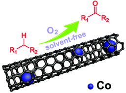 Graphical abstract: Nitrogen-doped carbon nanotubes encapsulate cobalt nanoparticles as efficient catalysts for aerobic and solvent-free selective oxidation of hydrocarbons