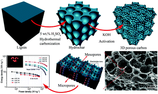 Graphical abstract: Enzymatic hydrolysis lignin derived hierarchical porous carbon for supercapacitors in ionic liquids with high power and energy densities