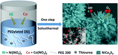 Graphical abstract: A PEGylated deep eutectic solvent for controllable solvothermal synthesis of porous NiCo2S4 for efficient oxygen evolution reaction