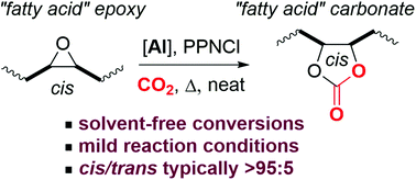Graphical abstract: Fatty acid based biocarbonates: Al-mediated stereoselective preparation of mono-, di- and tricarbonates under mild and solvent-less conditions