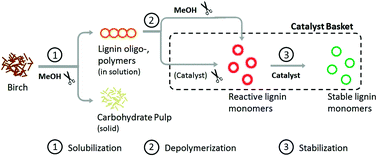 Graphical abstract: Integrating lignin valorization and bio-ethanol production: on the role of Ni-Al2O3 catalyst pellets during lignin-first fractionation