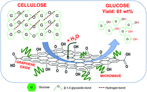 Graphical abstract: Synergizing graphene oxide with microwave irradiation for efficient cellulose depolymerization into glucose