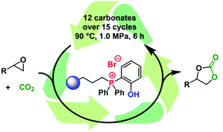 Graphical abstract: Immobilized bifunctional phosphonium salts as recyclable organocatalysts in the cycloaddition of CO2 and epoxides