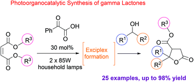 Graphical abstract: Photoorganocatalytic synthesis of lactones via a selective C–H activation–alkylation of alcohols