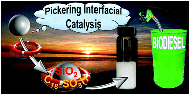 Graphical abstract: Acidic/amphiphilic silica nanoparticles: new eco-friendly Pickering interfacial catalysis for biodiesel production
