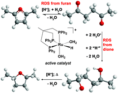 Graphical abstract: [Ru(triphos)(CH3CN)3](OTf)2 as a homogeneous catalyst for the hydrogenation of biomass derived 2,5-hexanedione and 2,5-dimethyl-furan in aqueous acidic medium