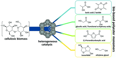 Graphical abstract: Heterogeneous catalysis for bio-based polyester monomers from cellulosic biomass: advances, challenges and prospects