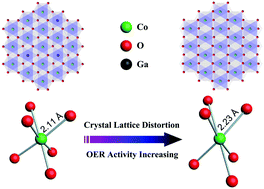 Graphical abstract: Crystal lattice distortion in ultrathin Co(OH)2 nanosheets inducing elongated Co–OOH bonds for highly efficient oxygen evolution reaction