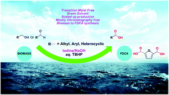 Graphical abstract: Iodine catalyzed oxidation of alcohols and aldehydes to carboxylic acids in water: a metal-free route to the synthesis of furandicarboxylic acid and terephthalic acid