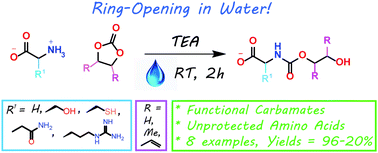 Graphical abstract: Synthesis of highly functional carbamates through ring-opening of cyclic carbonates with unprotected α-amino acids in water