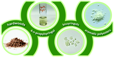 Graphical abstract: Promising bulk production of a potentially benign bisphenol A replacement from a hardwood lignin platform