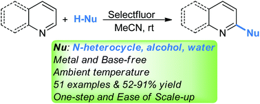Graphical abstract: Selectfluor-mediated regioselective nucleophilic functionalization of N-heterocycles under metal- and base-free conditions