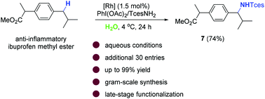 Graphical abstract: Rhodium-catalyzed intermolecular C(sp3)–H amination in a purely aqueous system
