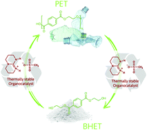 Graphical abstract: Organocatalysed depolymerisation of PET in a fully sustainable cycle using thermally stable protic ionic salt
