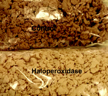 Graphical abstract: Enzymatic delignification and hexenuronic acid removal in cellulosic papermaking pulp using a haloperoxidase