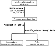Graphical abstract: The use of high hydrostatic pressure to modulate milk protein interactions for the production of an alpha-lactalbumin enriched-fraction