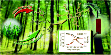Graphical abstract: Renewable thermoset polymers based on lignin and carbohydrate derived monomers