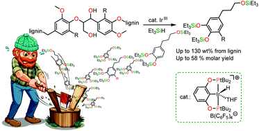 Graphical abstract: Efficient reductive depolymerization of hardwood and softwood lignins with Brookhart's iridium(iii) catalyst and hydrosilanes