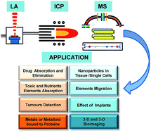 Graphical abstract: Recent applications of laser ablation inductively coupled plasma mass spectrometry (LA-ICP-MS) for biological sample analysis: a follow-up review