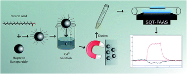 Graphical abstract: A new method for the determination of cadmium at ultratrace levels using slotted quartz tube-flame atomic absorption spectrometry after preconcentration with stearic acid coated magnetite nanoparticles