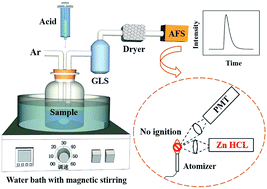 Graphical abstract: On-line chemical vapor generation for determination of total sulfur dioxide in wine samples using an atomic fluorescence spectrometer