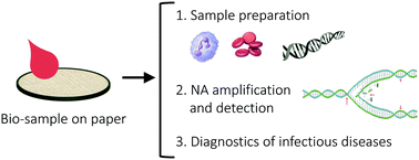 Graphical abstract: Paper microfluidics for nucleic acid amplification testing (NAAT) of infectious diseases