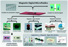 Graphical abstract: Magnetic digital microfluidics – a review