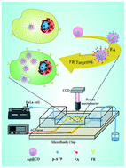 Graphical abstract: Uptake of silver nanoparticles by DHA-treated cancer cells examined by surface-enhanced Raman spectroscopy in a microfluidic chip