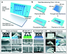 Graphical abstract: Rapid large area fabrication of multiscale through-hole membranes