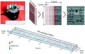 Graphical abstract: Holographic microscope slide in a spatio-temporal imaging modality for reliable 3D cell counting