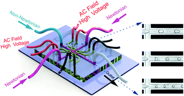 Graphical abstract: AC electric field controlled non-Newtonian filament thinning and droplet formation on the microscale