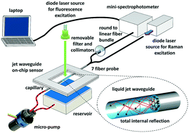 Graphical abstract: Multifunctional optofluidic lab-on-chip platform for Raman and fluorescence spectroscopic microfluidic analysis