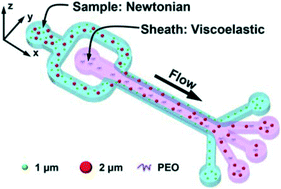 Graphical abstract: Microfluidic co-flow of Newtonian and viscoelastic fluids for high-resolution separation of microparticles