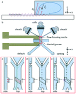 Graphical abstract: Enhanced surface acoustic wave cell sorting by 3D microfluidic-chip design