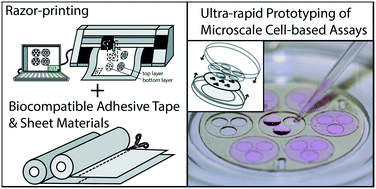 Graphical abstract: Razor-printed sticker microdevices for cell-based applications