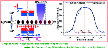 Graphical abstract: Magnetic Janus particles synthesized using droplet micro-magnetofluidic techniques for protein detection